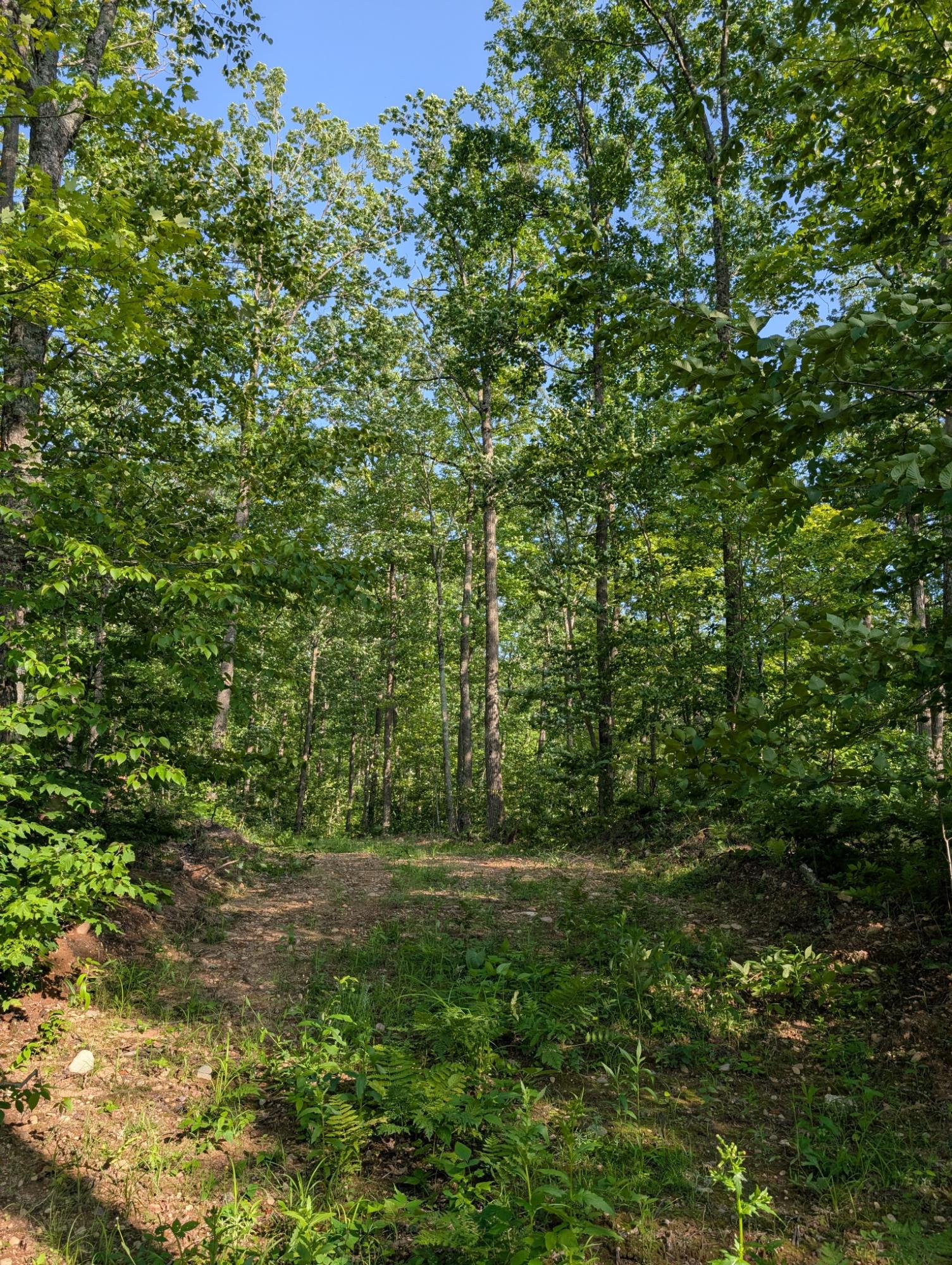 5 West Y Road Exeland, WI 54835 - Photo 9 of 25 Gallery Image 9