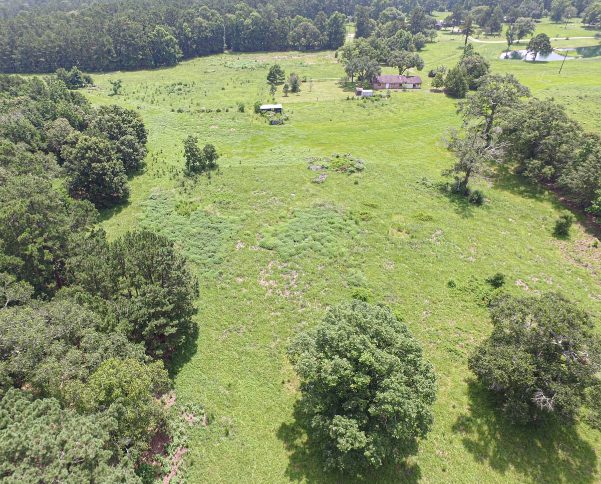 899 J Hickman Road Livingston, TX 77351 - Photo 3 of 48
