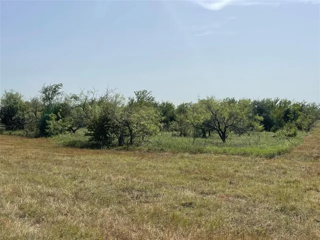 a view of a field with trees in background