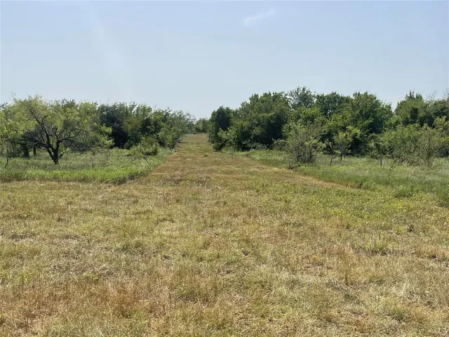 a view of a field with trees in background