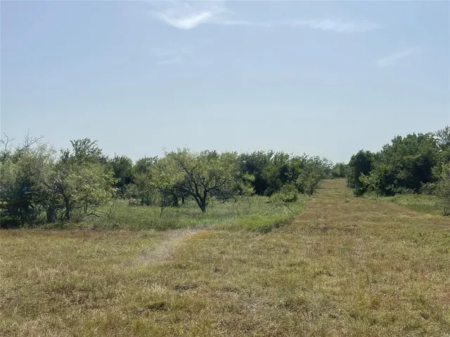a view of a field with trees in background
