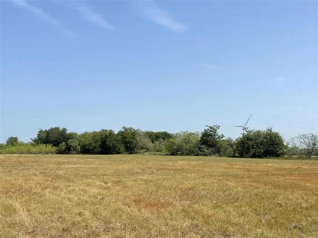 a view of a field with trees in background