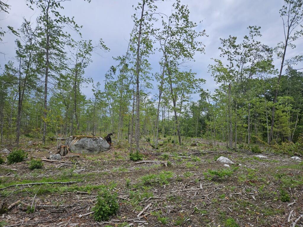19 A Quaker Ridge Road Leeds, ME 04263 - Photo 29 of 37 20260716_132749