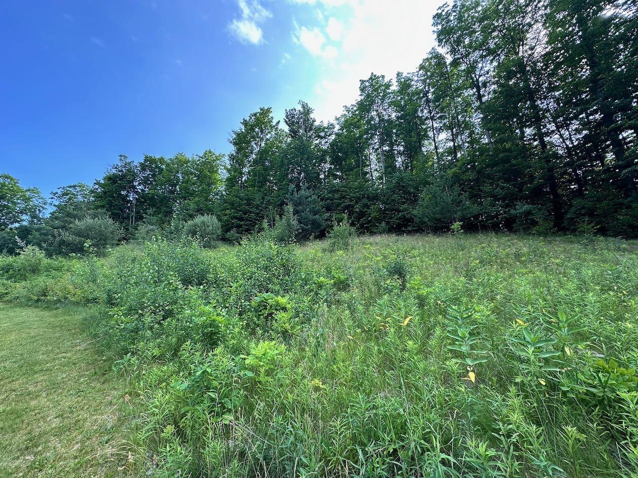 170 Raptor Run, Unit LOT: 170 Bellaire, MI 49615 - Photo 29 of 29