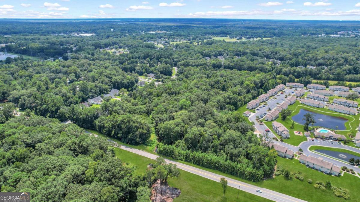 9.73-ac Little Neck Road Savannah, GA 31419 - Photo 6 of 9 a view of a city with lush green forest