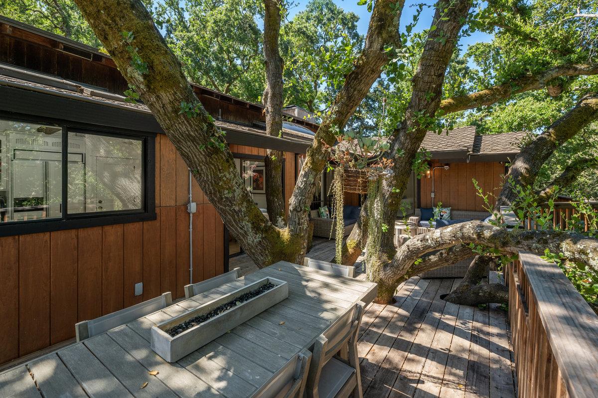 27 Oakwood Road Orinda, CA 94563 - Photo 50 of 61 a view of backyard with wooden fence and large trees