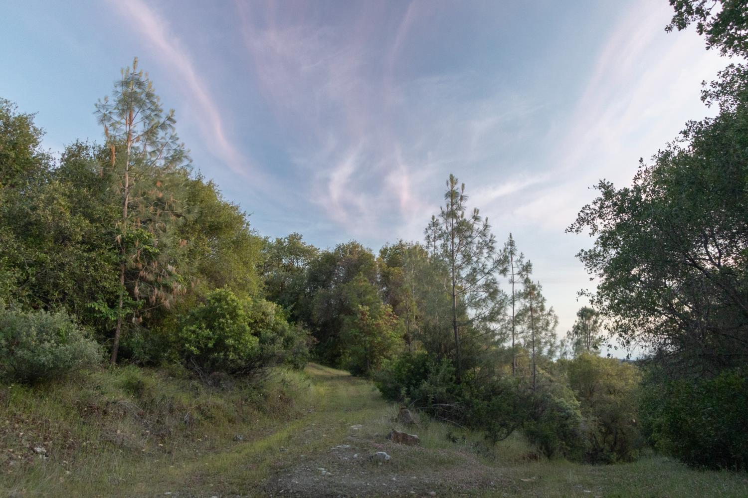 12911 Long Valley Road Penn Valley, CA 95946 - Photo 20 of 35 a view of a city with lush green forest