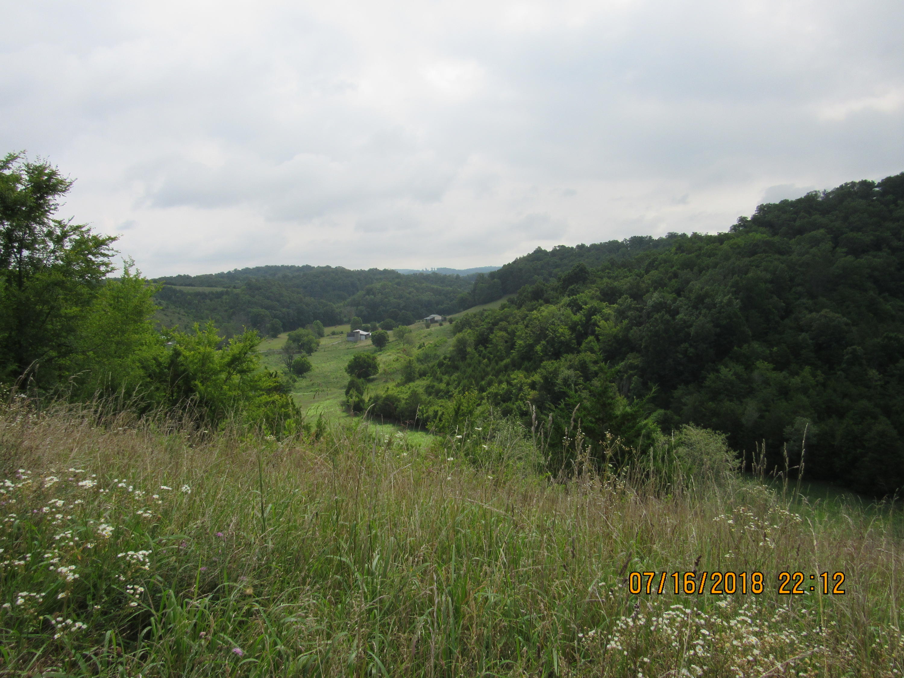 George Malone Road Greeneville, TN 37745 - Photo 1 of 40 1st pic