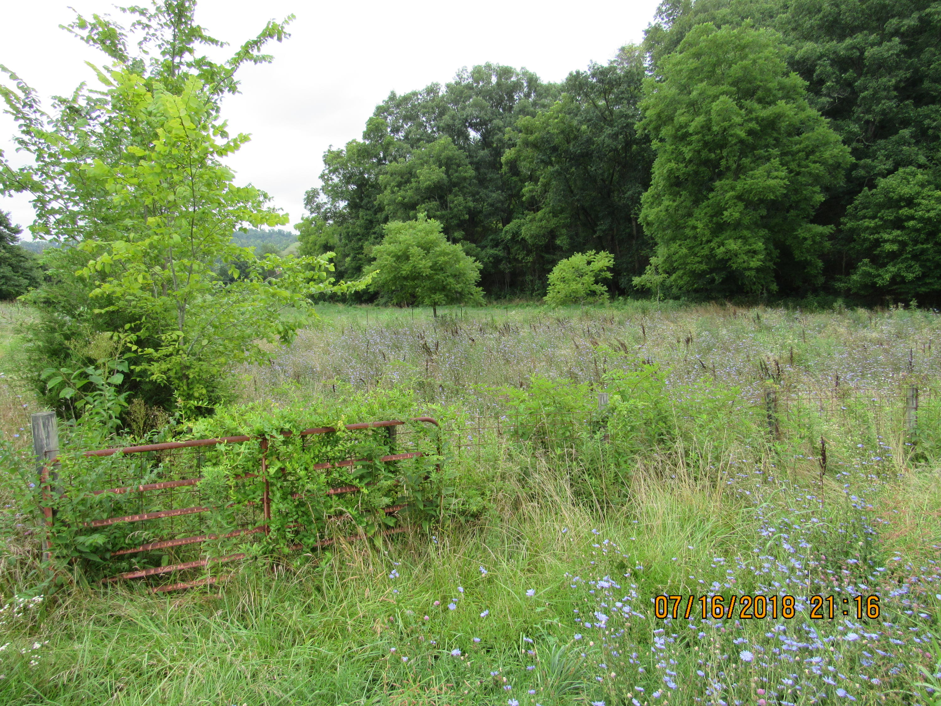 George Malone Road Greeneville, TN 37745 - Photo 11 of 40 IMG_0860