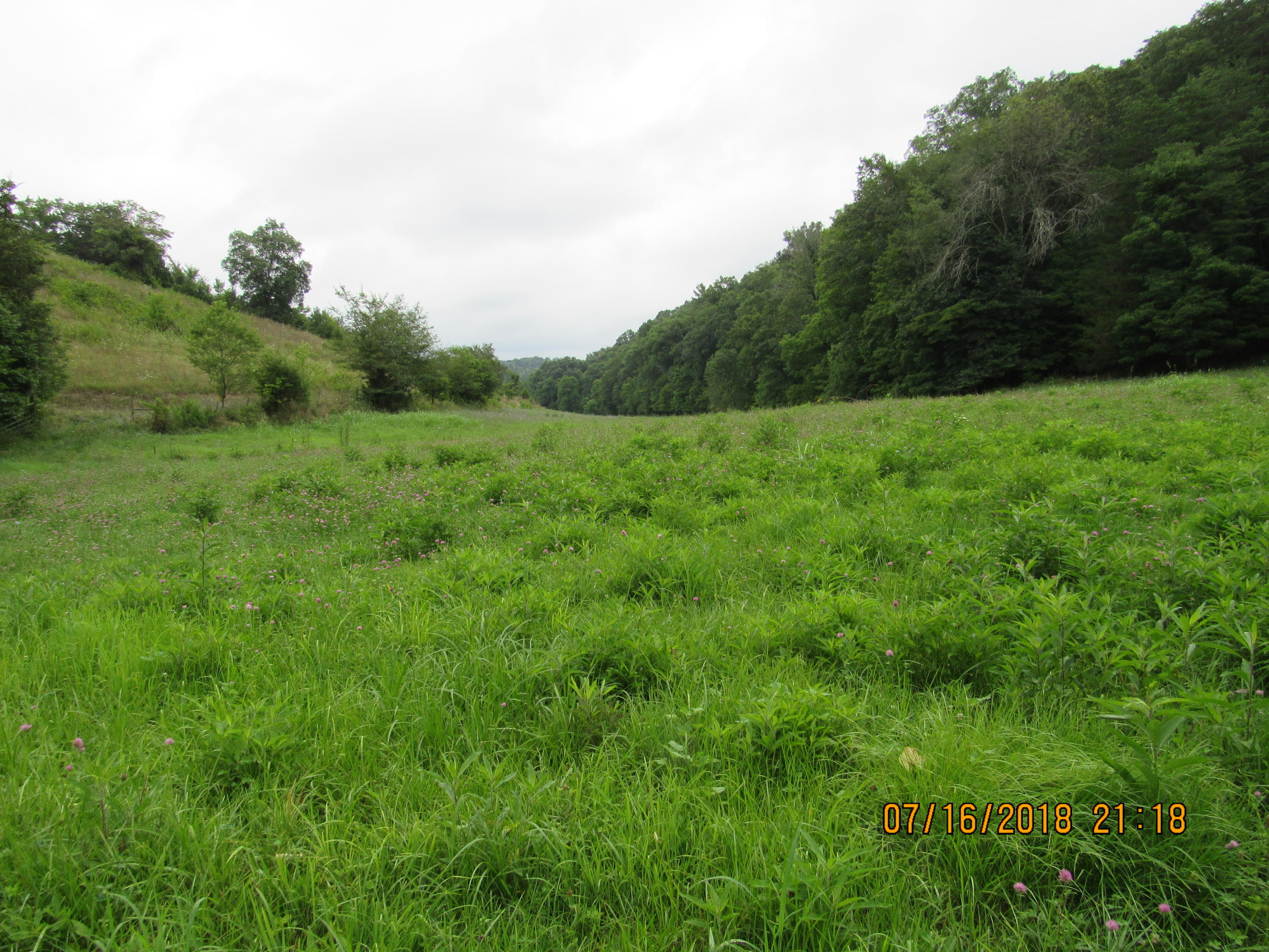 George Malone Road Greeneville, TN 37745 - Photo 12 of 40 IMG_0861