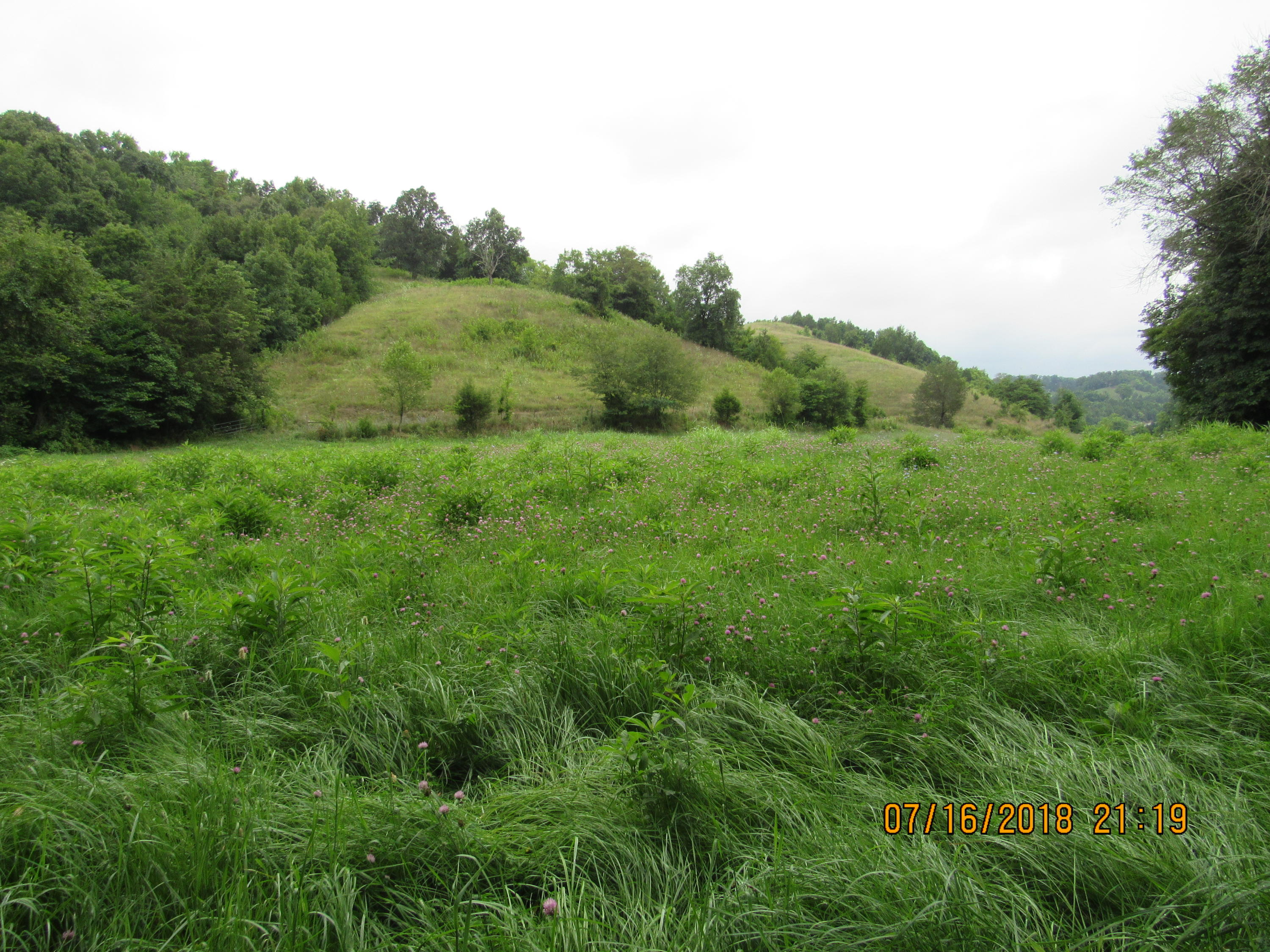 George Malone Road Greeneville, TN 37745 - Photo 13 of 40 IMG_0862