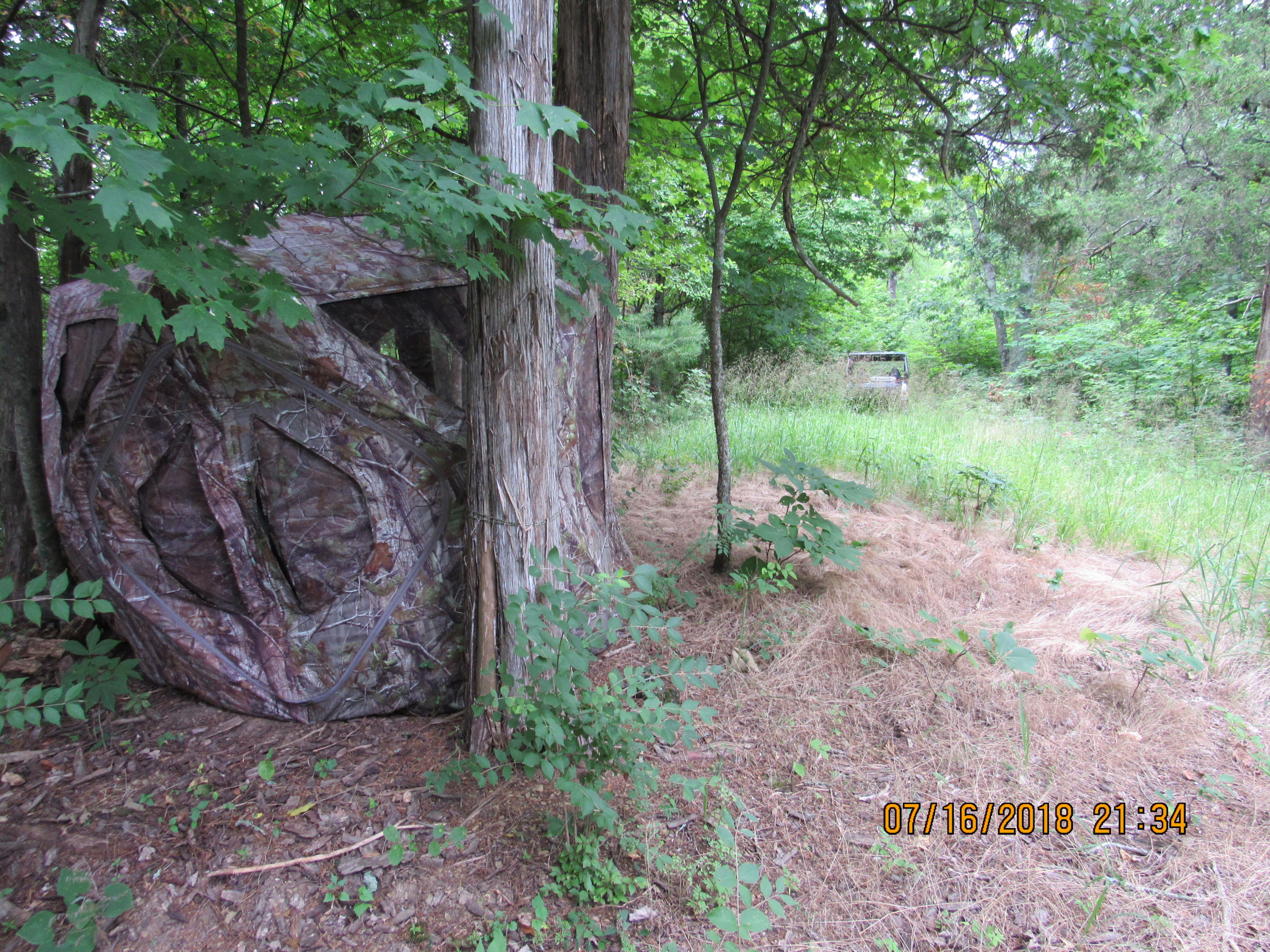 George Malone Road Greeneville, TN 37745 - Photo 16 of 40 IMG_0868