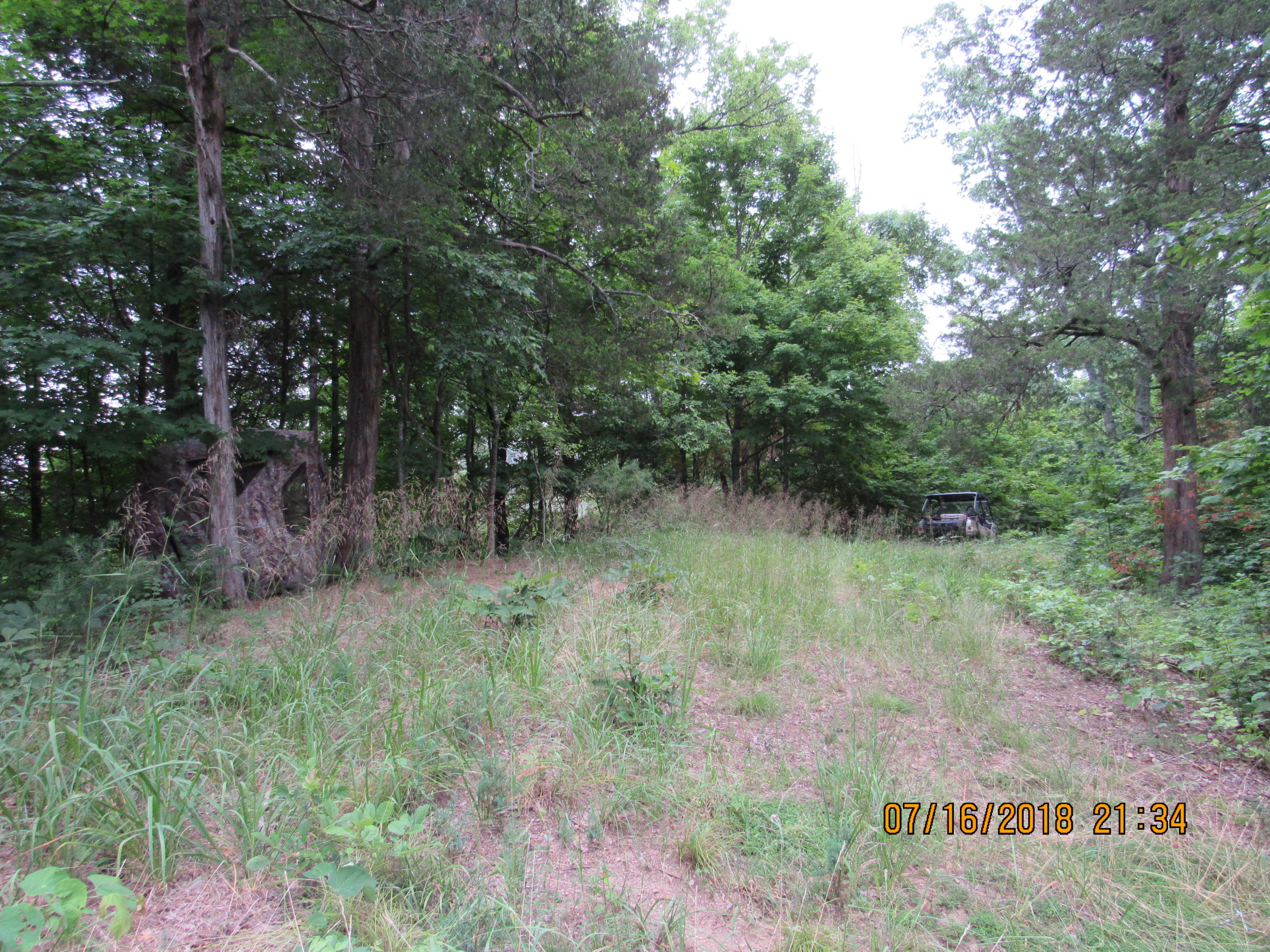 George Malone Road Greeneville, TN 37745 - Photo 17 of 40 IMG_0869