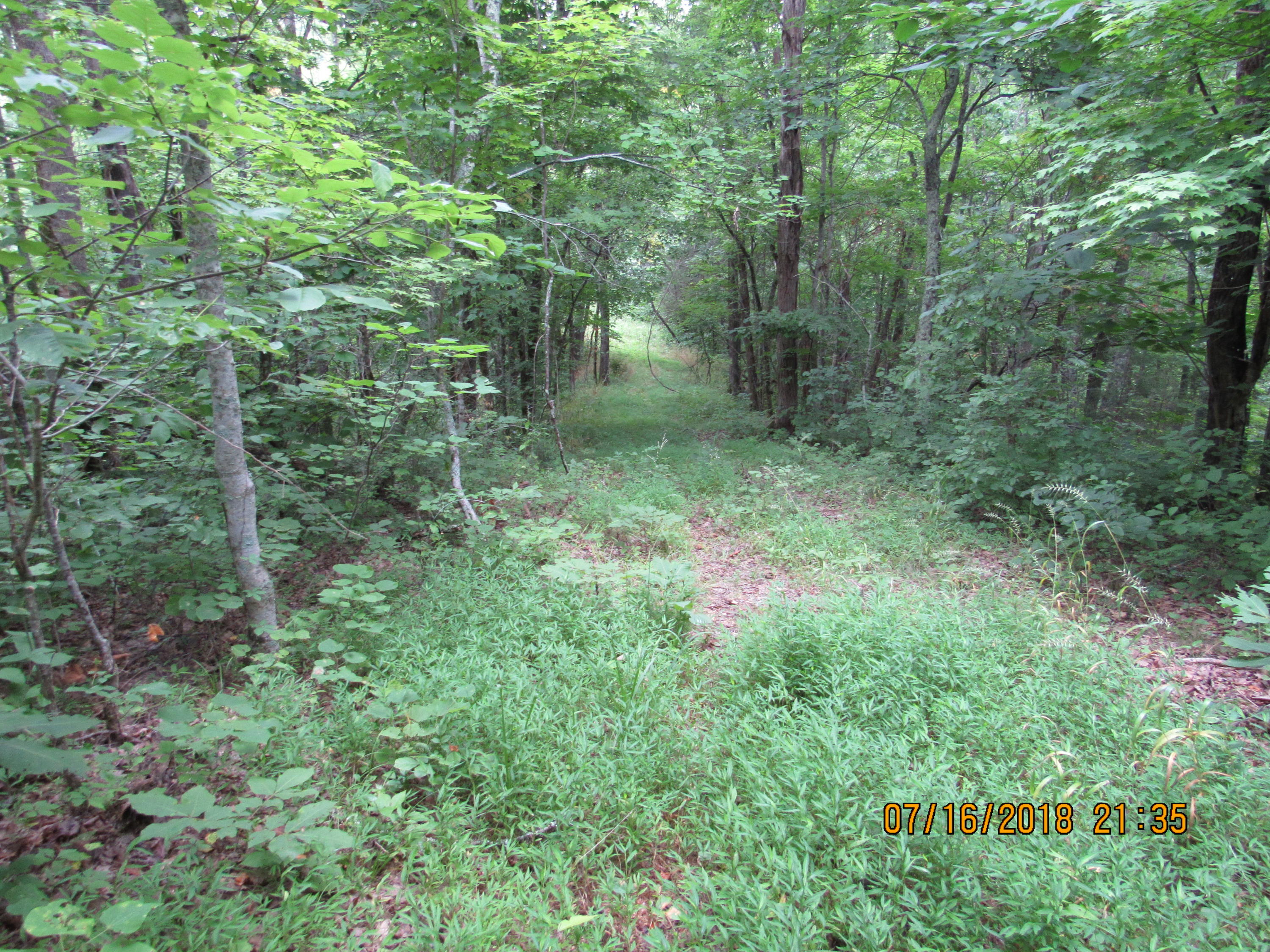 George Malone Road Greeneville, TN 37745 - Photo 18 of 40 IMG_0870