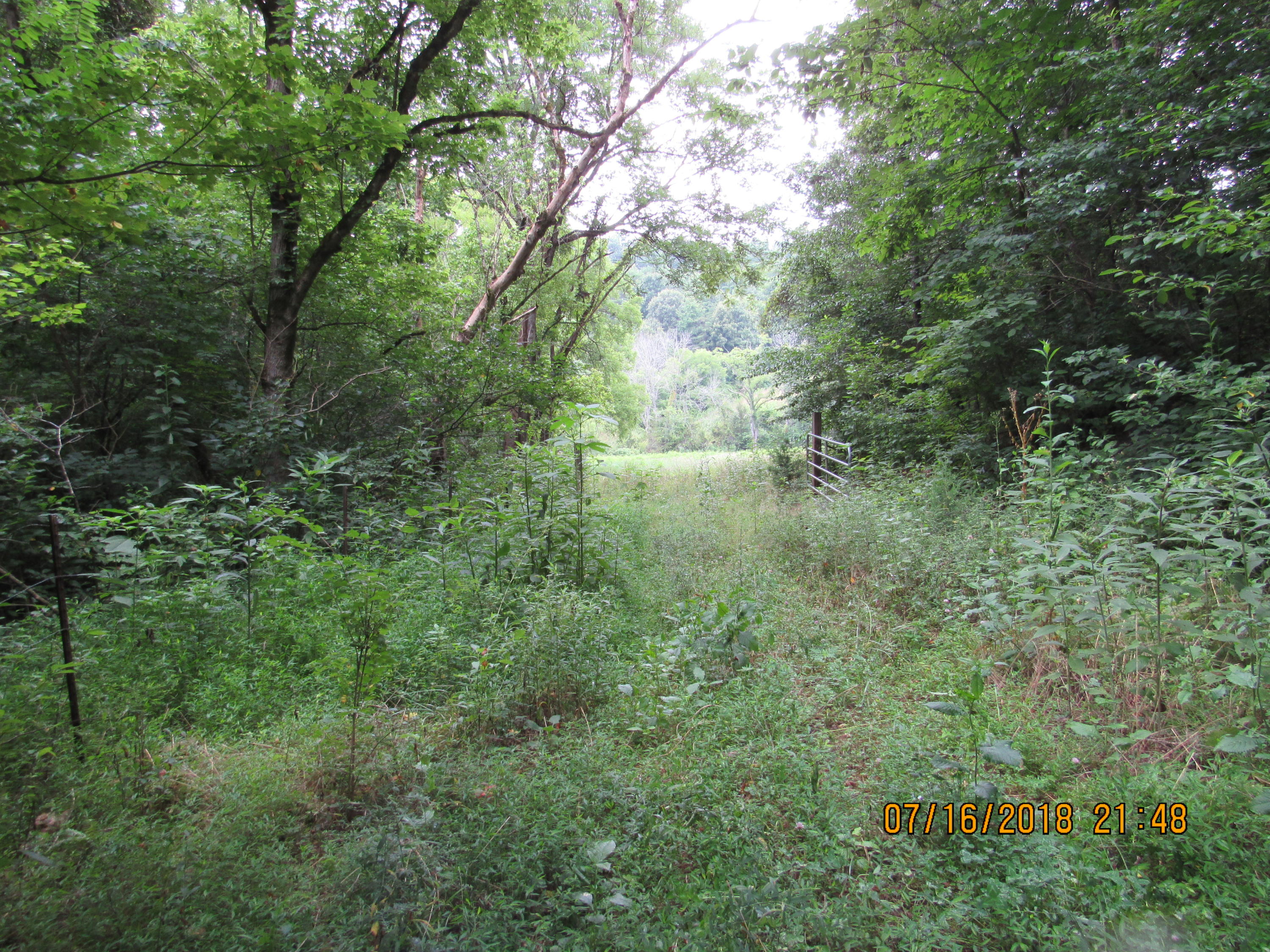 George Malone Road Greeneville, TN 37745 - Photo 21 of 40 IMG_0872