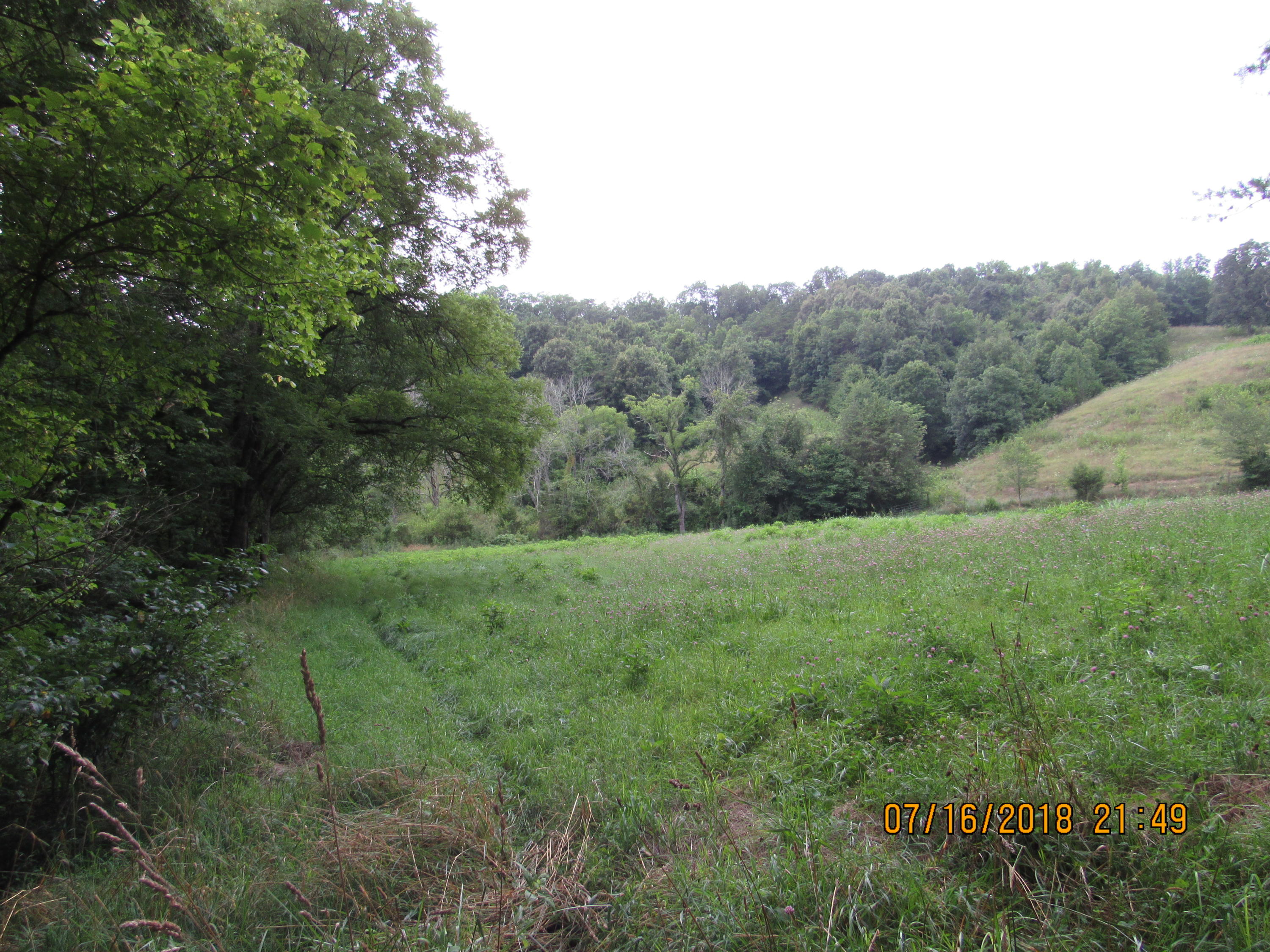 George Malone Road Greeneville, TN 37745 - Photo 22 of 40 IMG_0873