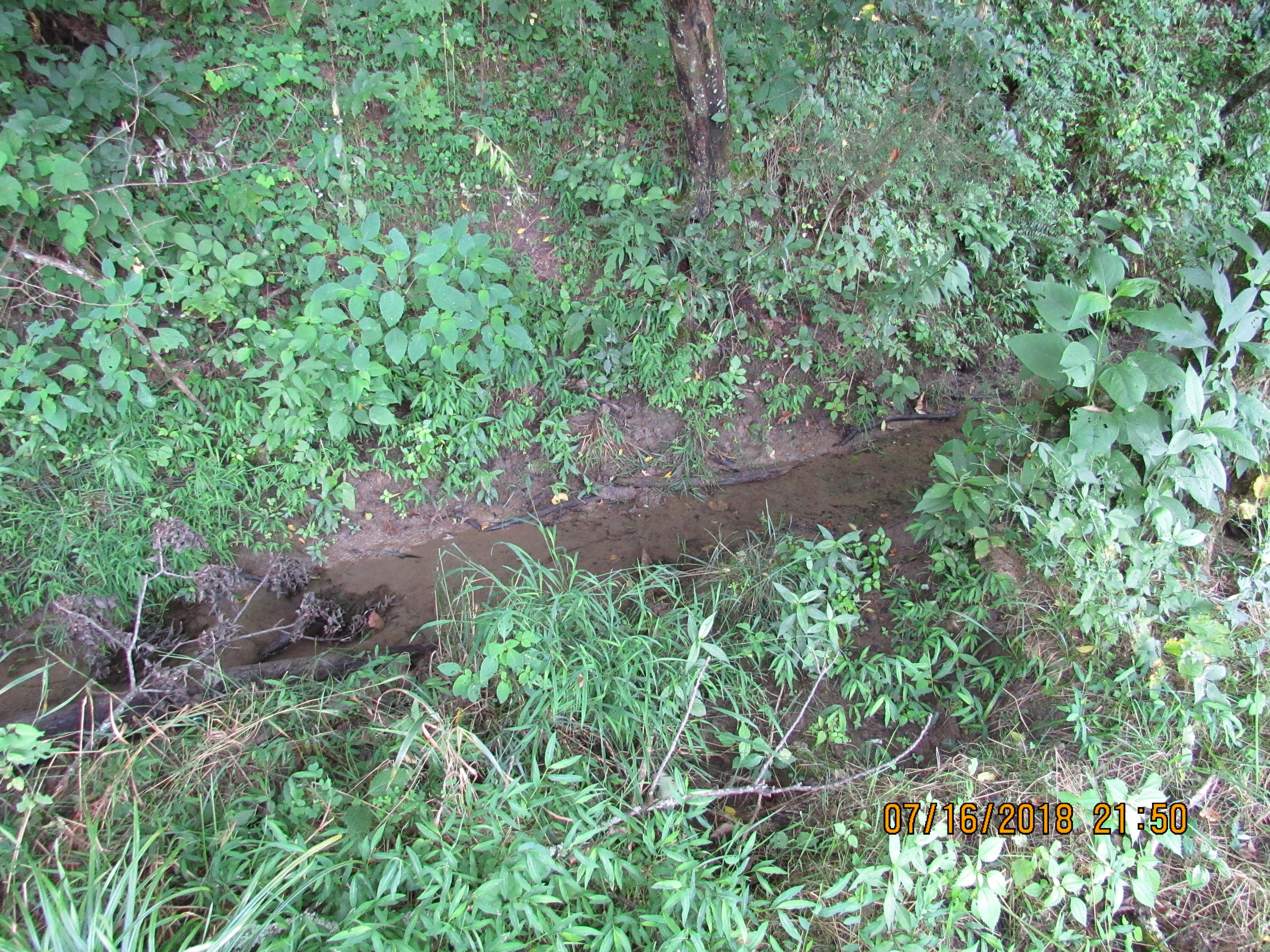 George Malone Road Greeneville, TN 37745 - Photo 23 of 40 IMG_0874
