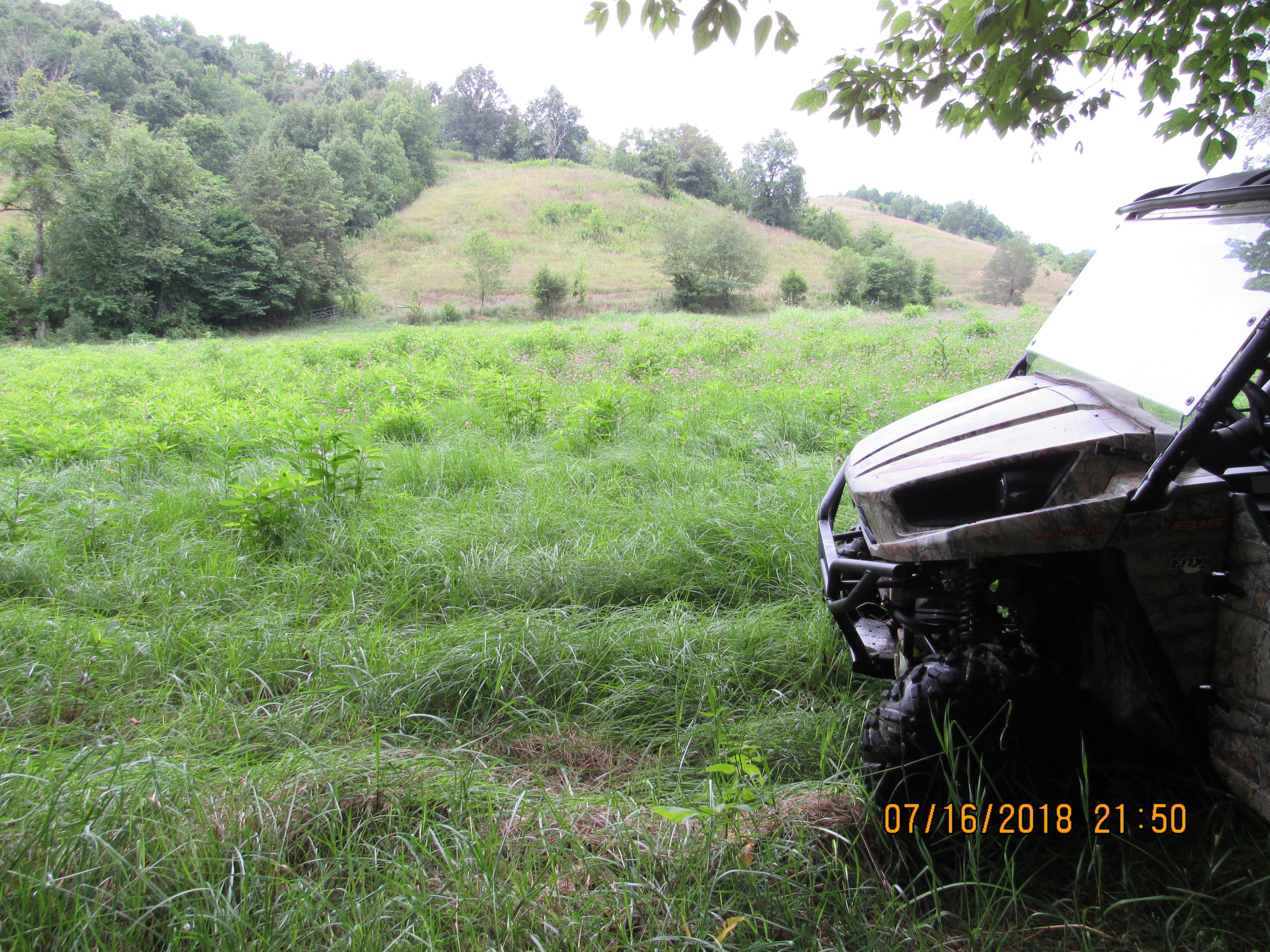 George Malone Road Greeneville, TN 37745 - Photo 25 of 40 IMG_0876