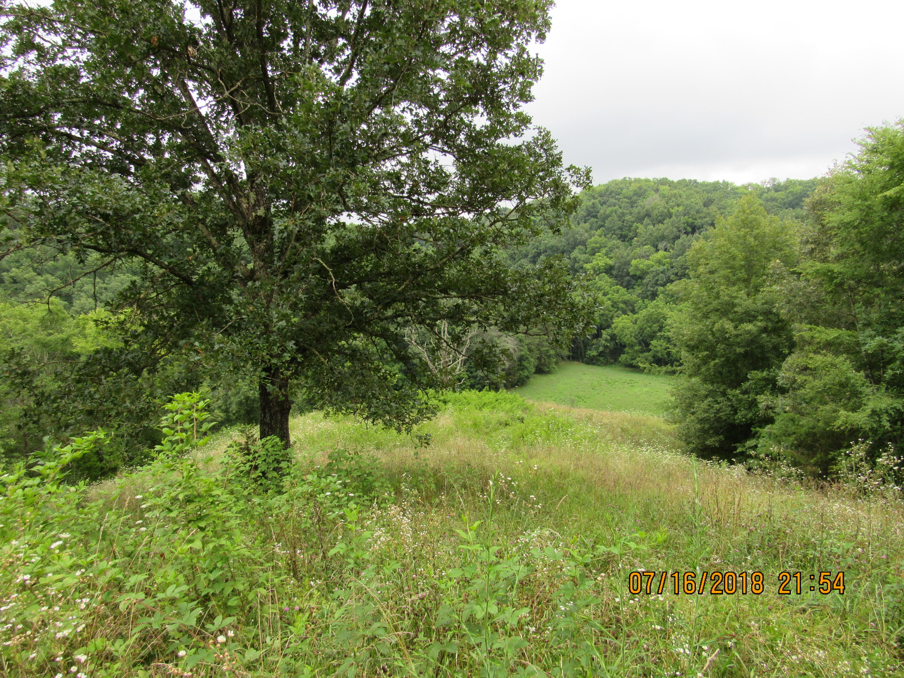 George Malone Road Greeneville, TN 37745 - Photo 26 of 40 IMG_0877
