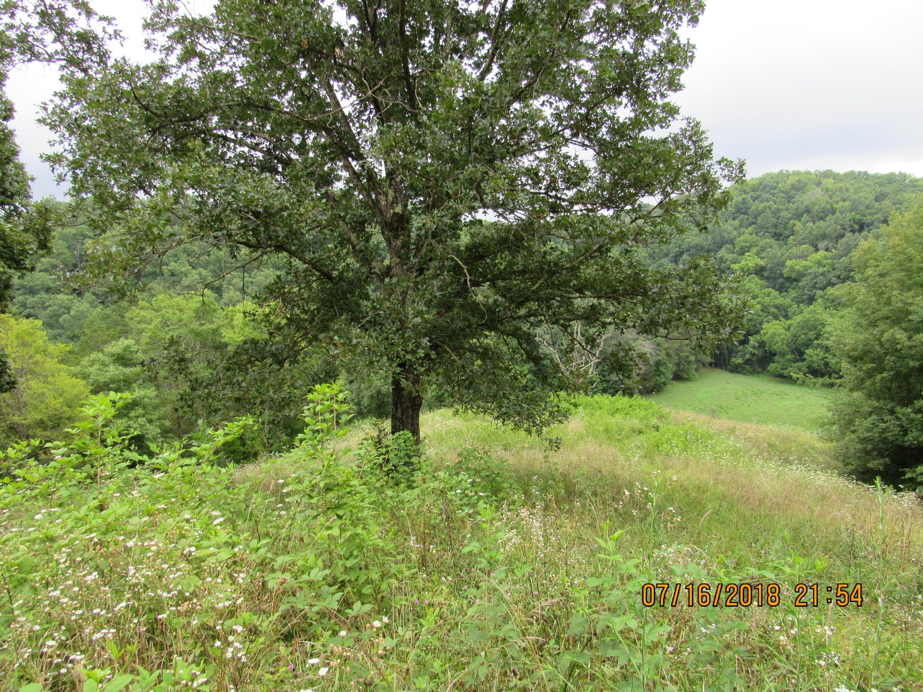 George Malone Road Greeneville, TN 37745 - Photo 27 of 40 IMG_0878