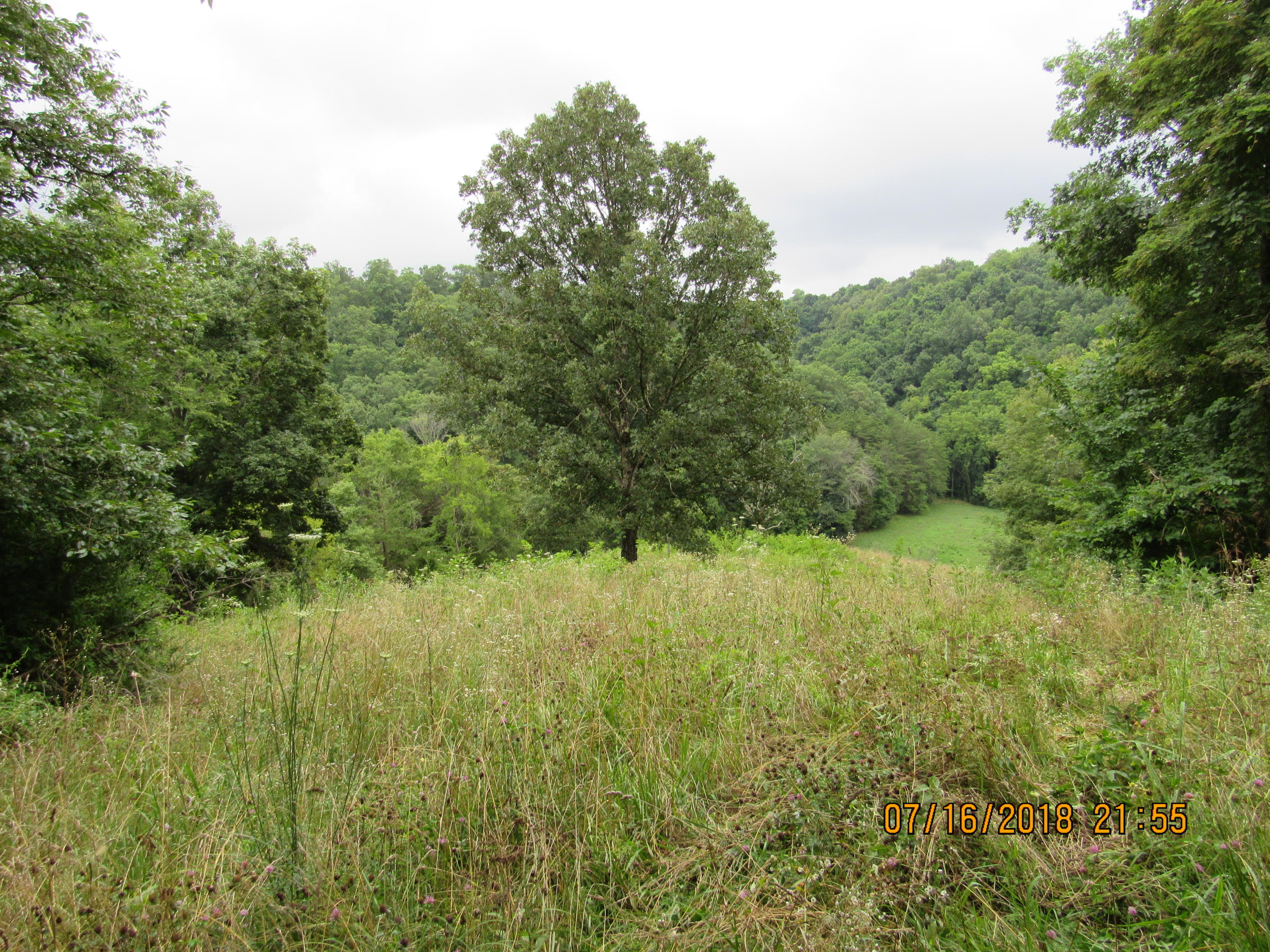 George Malone Road Greeneville, TN 37745 - Photo 28 of 40 IMG_0879