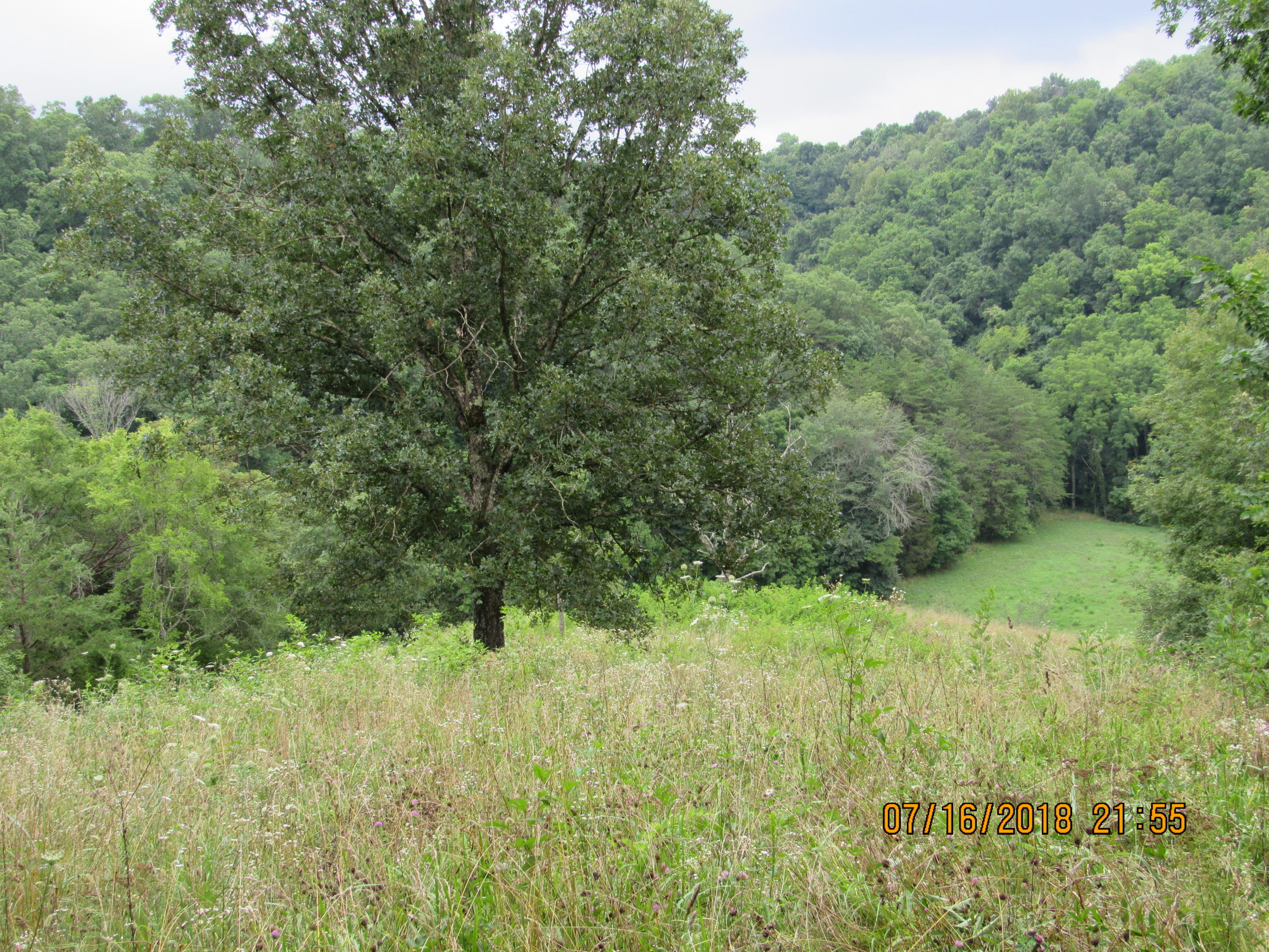 George Malone Road Greeneville, TN 37745 - Photo 29 of 40 IMG_0880