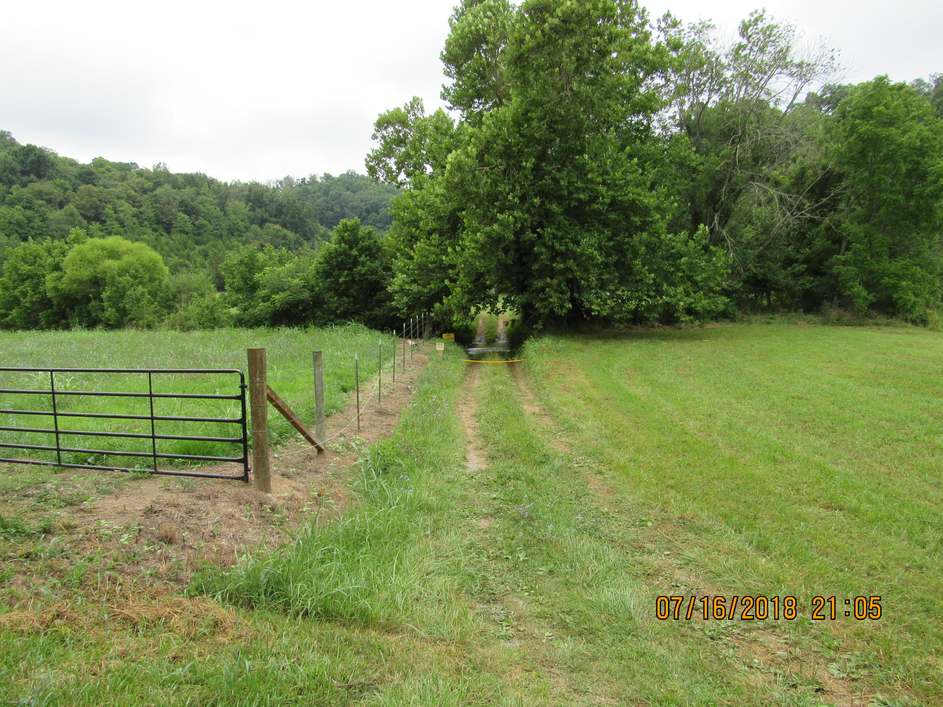 George Malone Road Greeneville, TN 37745 - Photo 4 of 40 IMG_0851