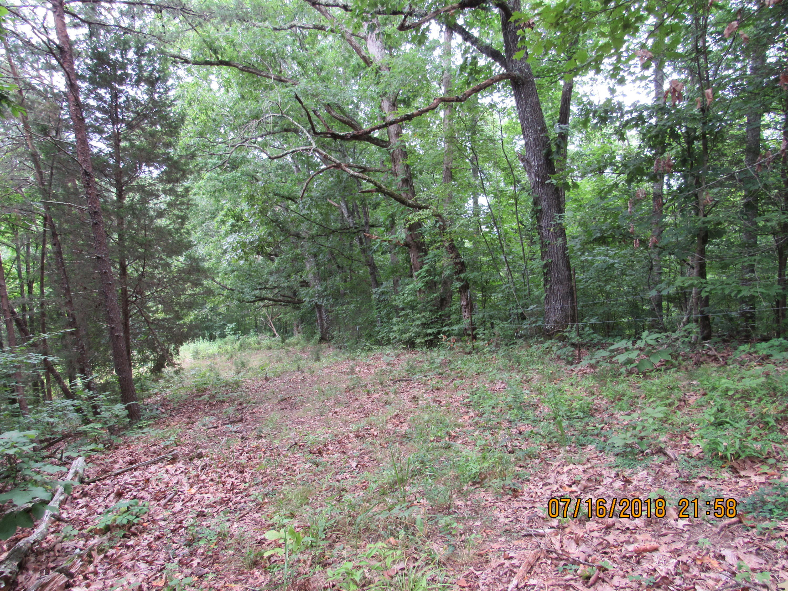 George Malone Road Greeneville, TN 37745 - Photo 34 of 40 IMG_0885