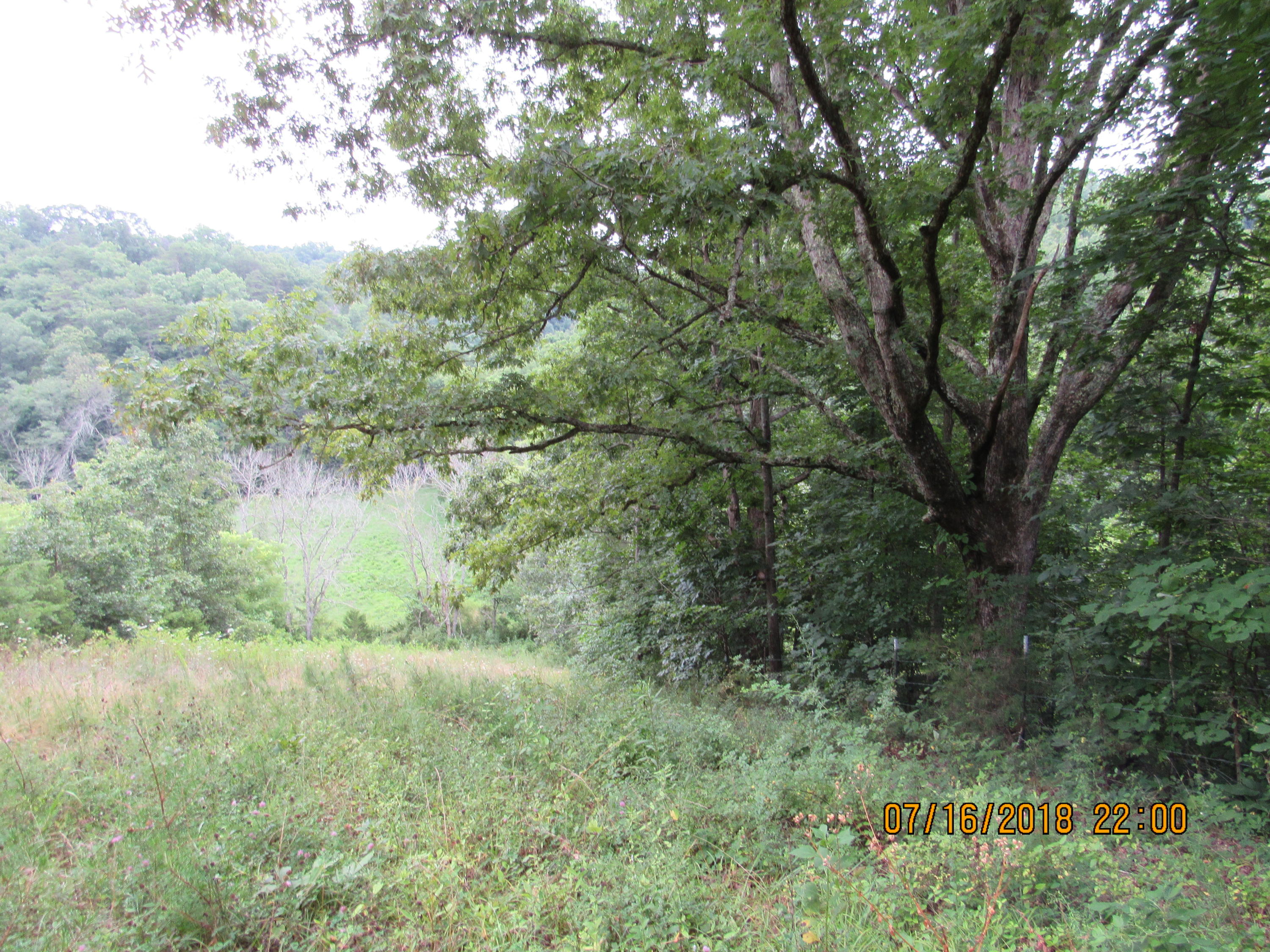 George Malone Road Greeneville, TN 37745 - Photo 37 of 40 IMG_0888
