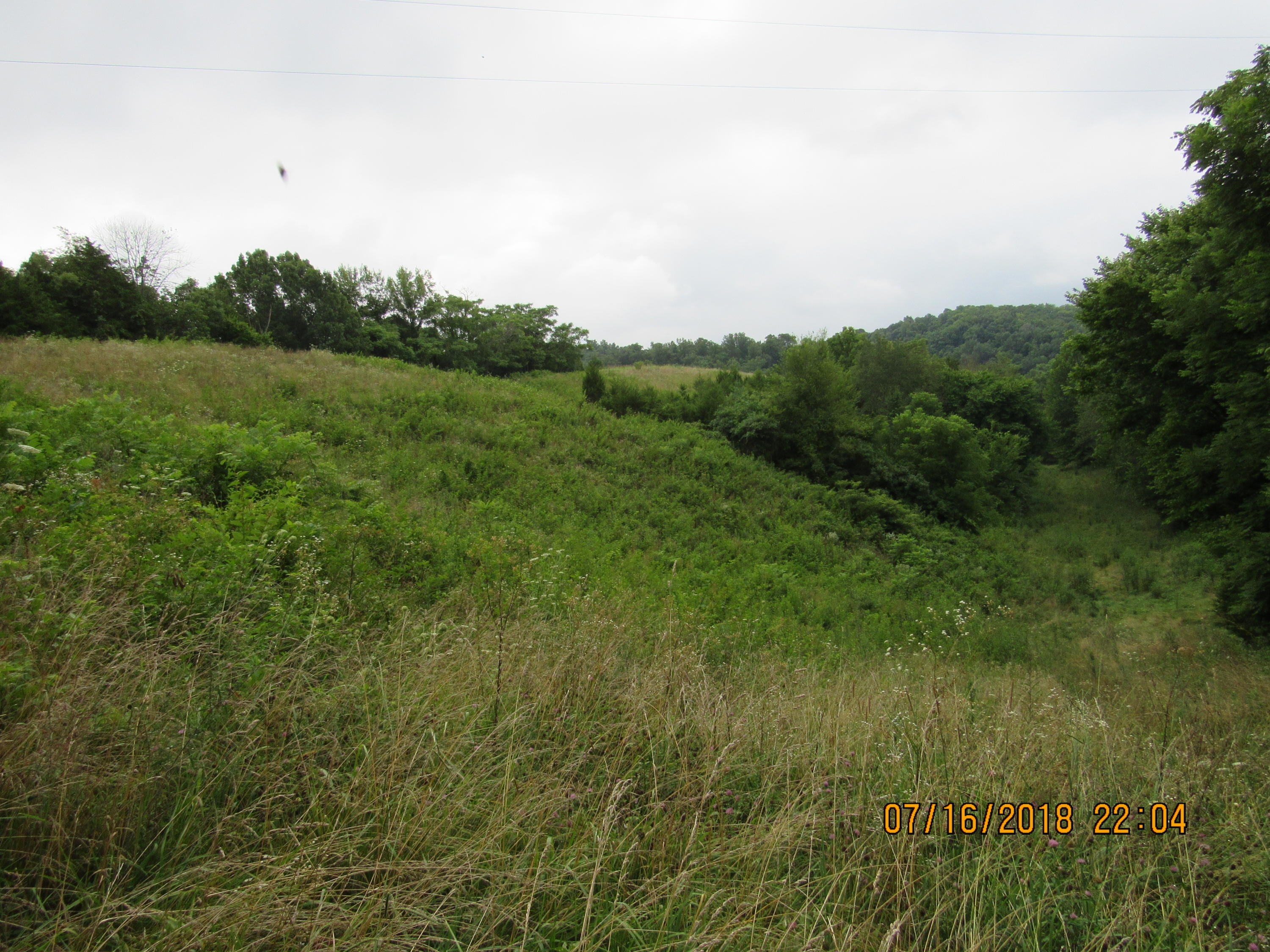 George Malone Road Greeneville, TN 37745 - Photo 38 of 40 IMG_0889