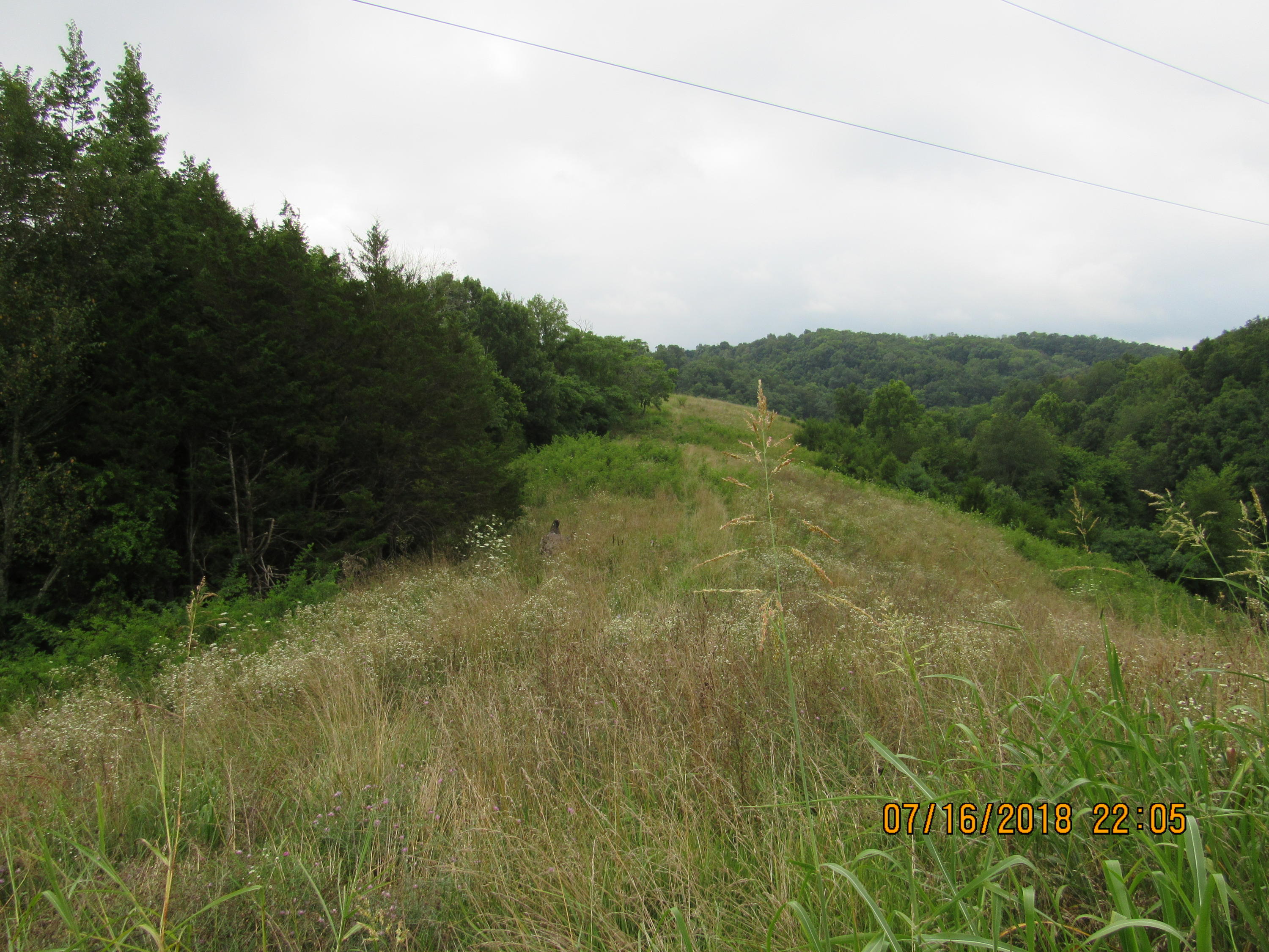 George Malone Road Greeneville, TN 37745 - Photo 39 of 40 IMG_0890