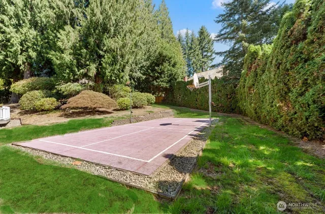 a view of a yard with plants