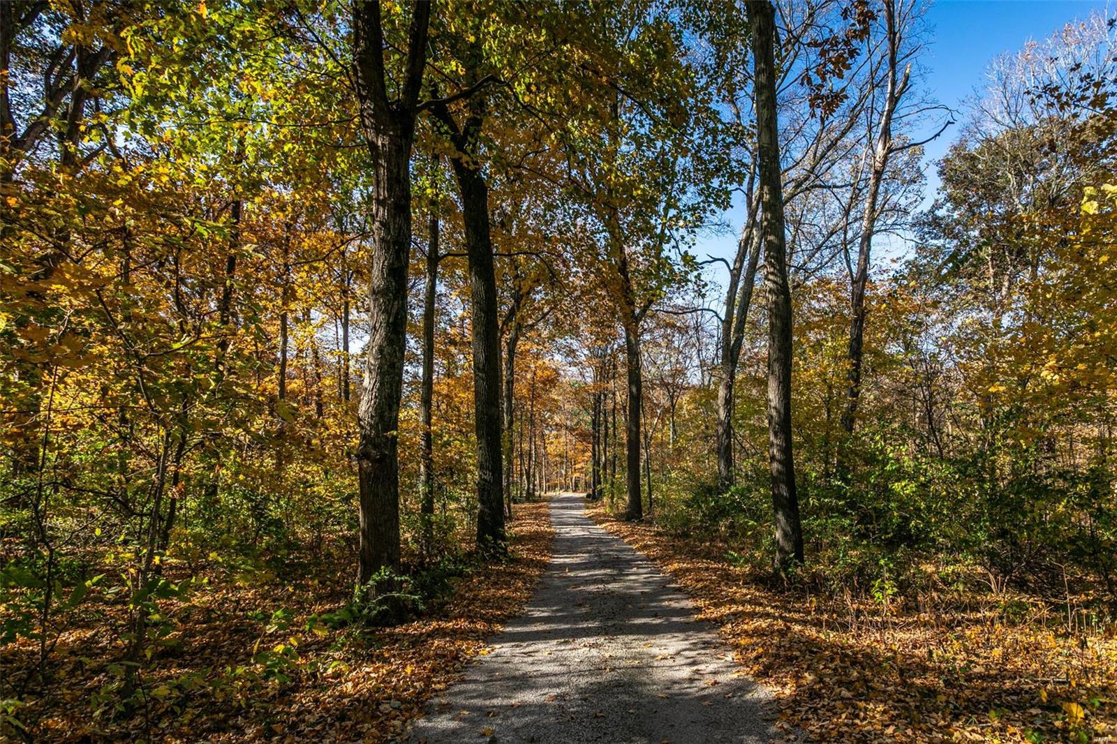 13301 Sugar Creek Road Highland, IL 62249 - Photo 27 of 74