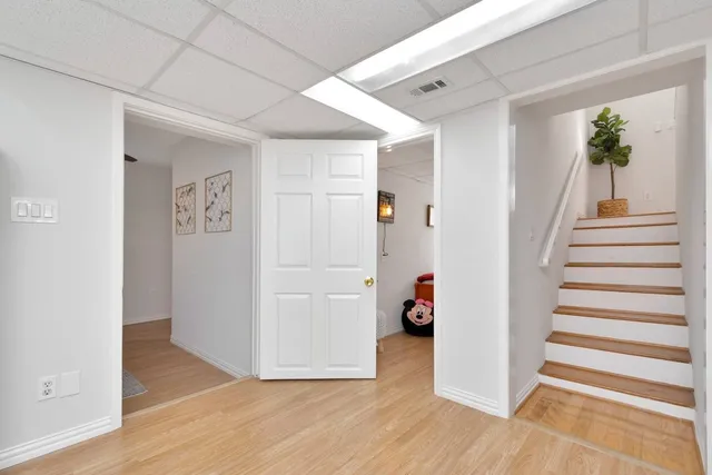 a picture of flowers