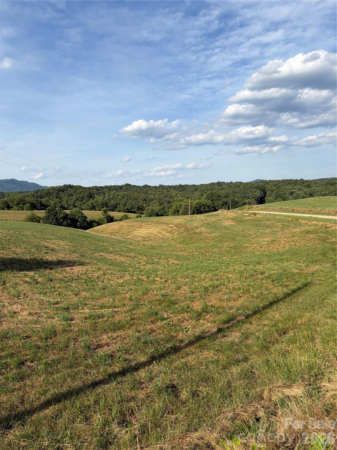 1779 Roundhill Church Road Traphill, NC 28685 - Photo 23 of 41