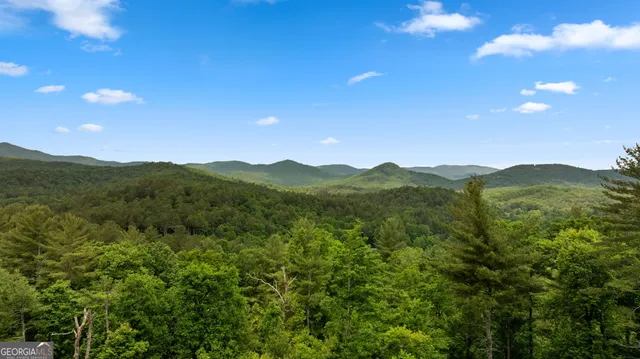 $1,499,000 | 9 Quail Hollow Lane, Epworth, GA 30541