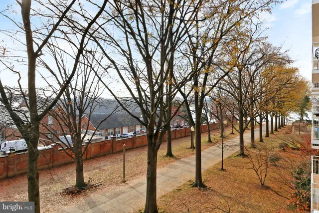 a view of a yard with a tree