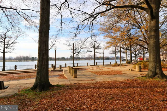 a view of a garden with sitting area