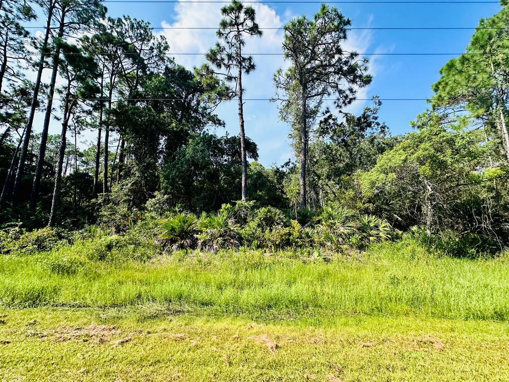 265 Twin Lakes Road Eastpoint, FL 32328 - Photo 2 of 18 Gallery Image 2