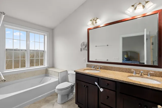a bathroom with a double vanity sink and a bathtub