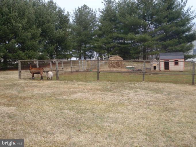 3235 Level Road Churchville, MD 21028 - Photo 14 of 30 2 of the goats enjoying a beautiful day!