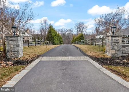 a view of a yard with trees in the background