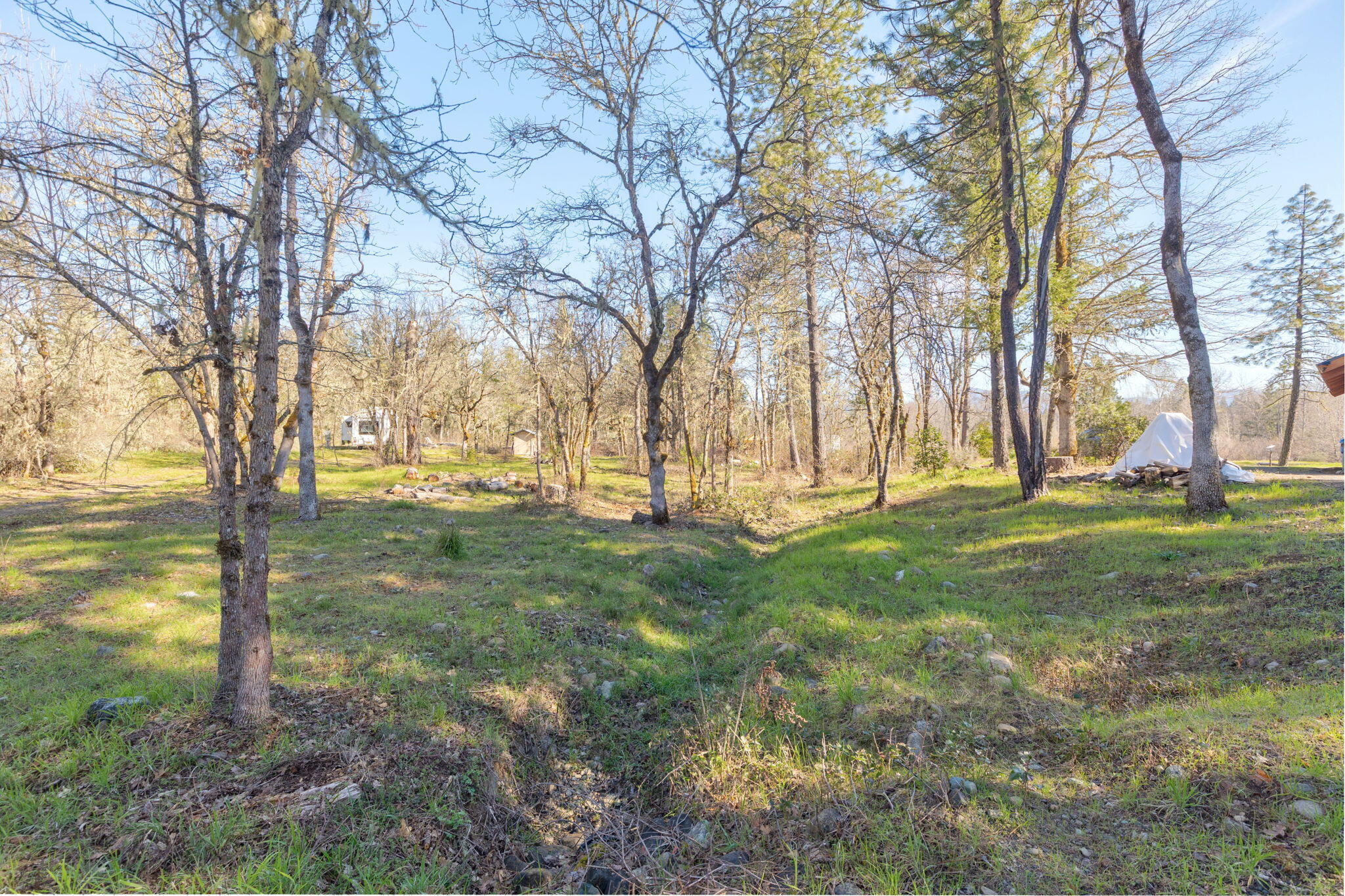 5737 Rockydale Road Cave Junction, OR 97523 - Photo 29 of 39 a view of yard with trees