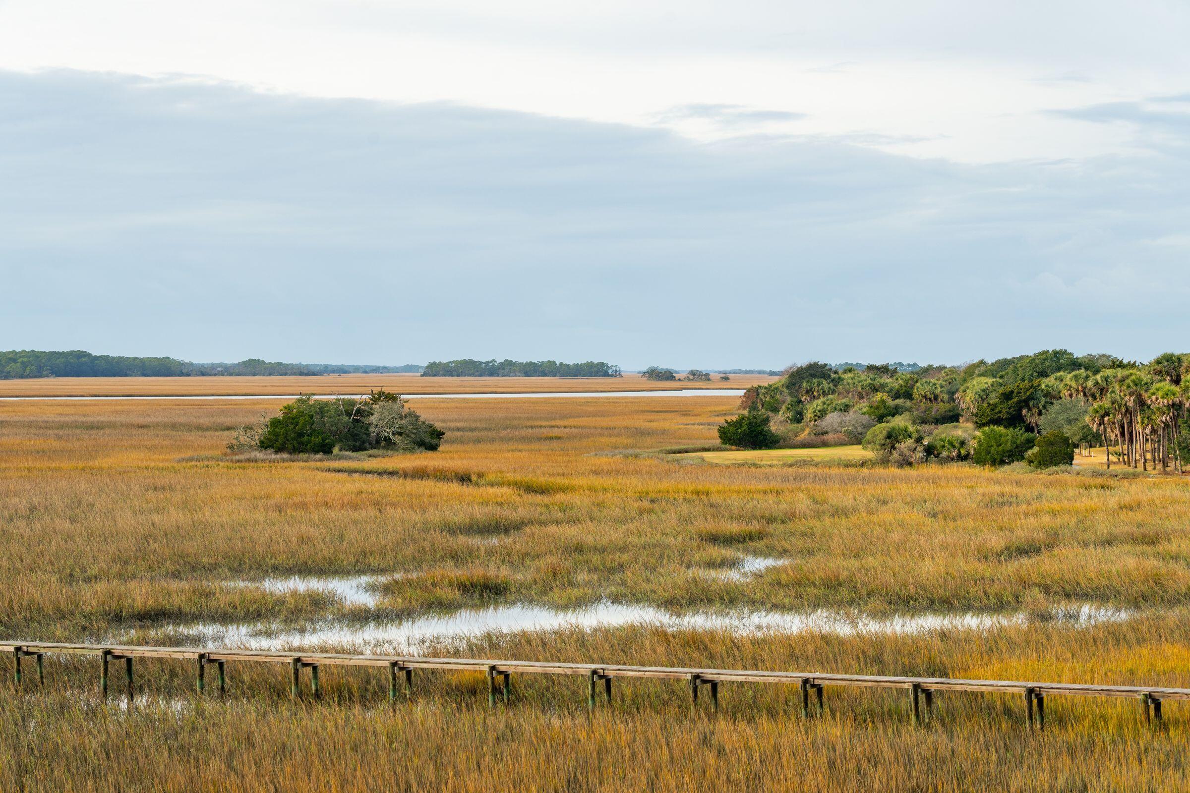 2262 Folly Road, Unit 2B Charleston, SC 29412 - Photo 36 of 62 28
