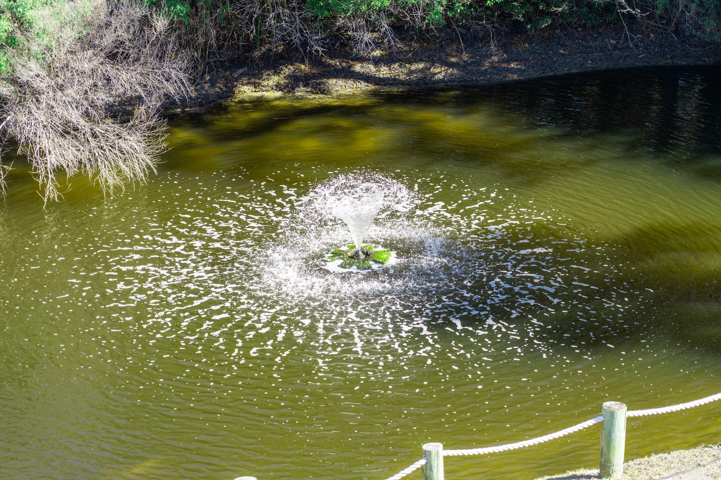 2262 Folly Road, Unit 2B Charleston, SC 29412 - Photo 59 of 62 mls_2262FollyRd-KeenEyeMarketing-051