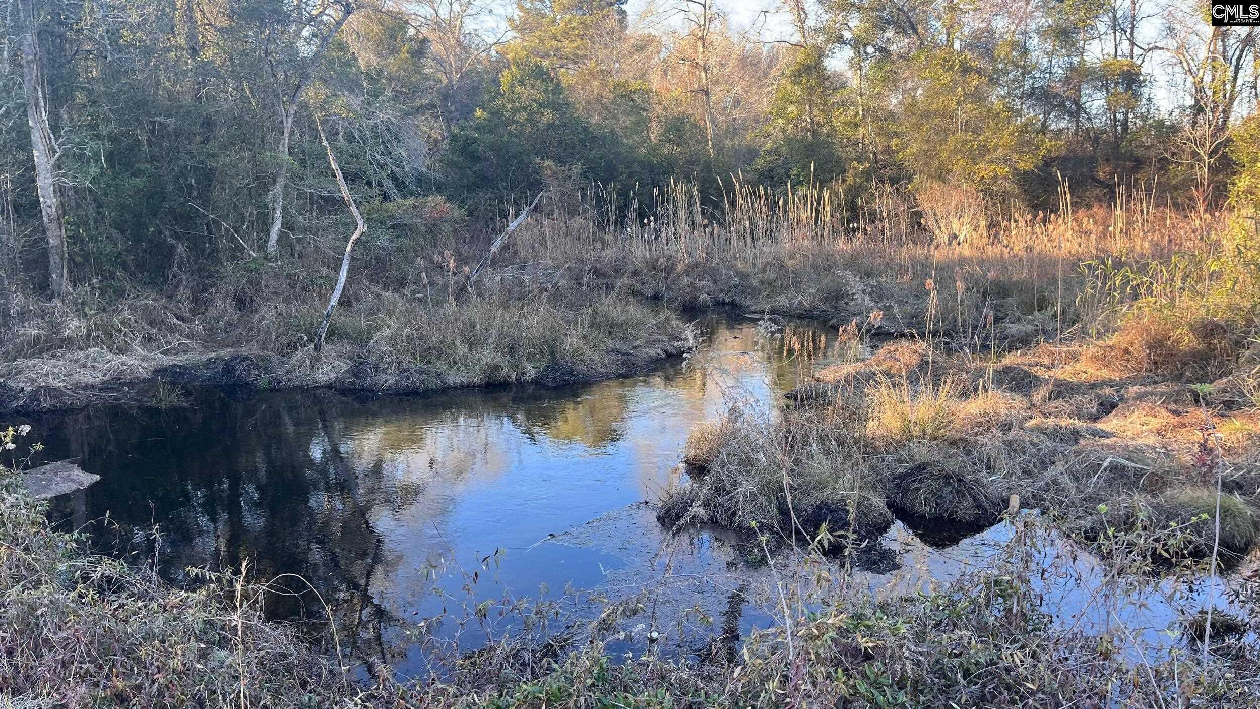 Tbd Tbd Millers Pond Road Salley, SC 29137 - Photo 2 of 20