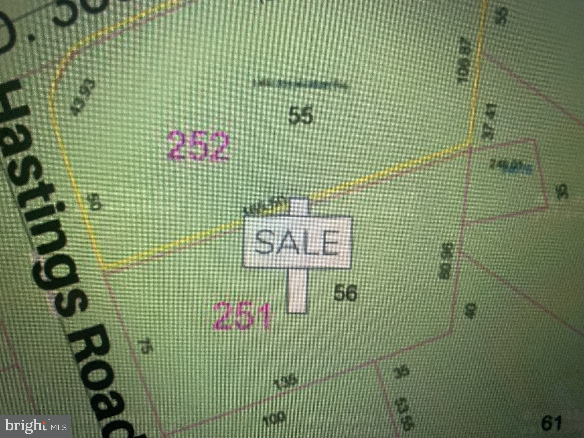 56 Hastings Road Frankford, DE 19945 - Photo 3 of 4 Plot Map showing Approx Lot Size
