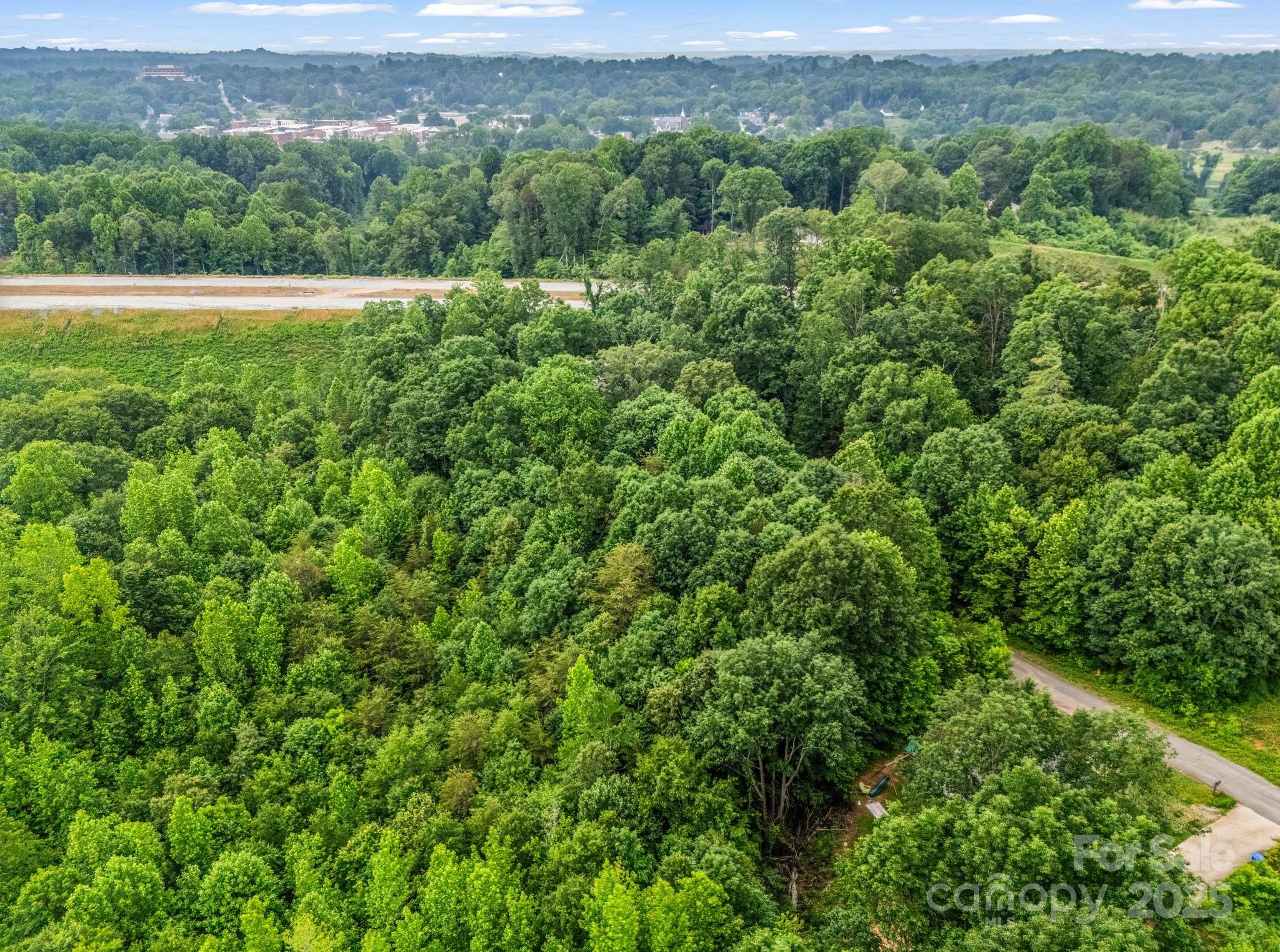 0 Hutchins Drive, Unit 14 15 Rutherfordton, NC 28139 - Photo 19 of 26 a view of a lush green forest with a lush green forest