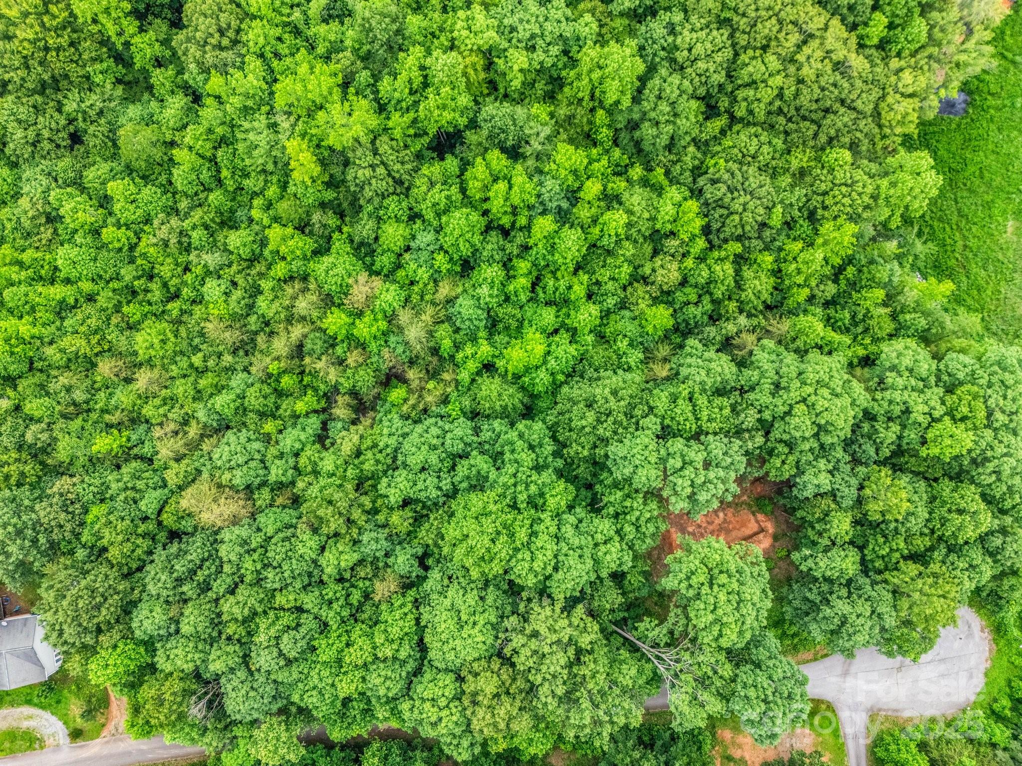 0 Hutchins Drive, Unit 14 15 Rutherfordton, NC 28139 - Photo 2 of 26 a backyard of a house with lots of green space