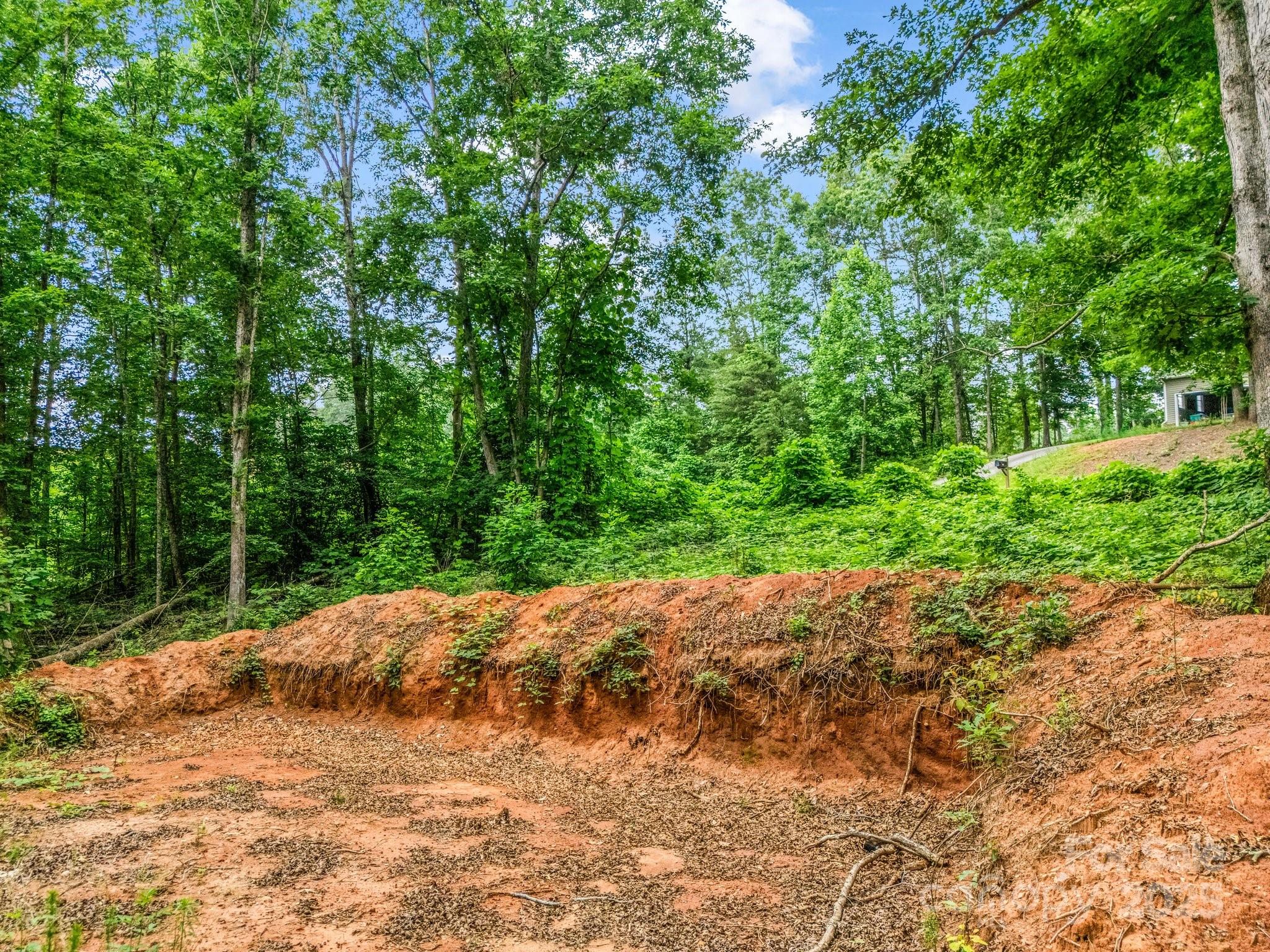 0 Hutchins Drive, Unit 14 15 Rutherfordton, NC 28139 - Photo 23 of 26 a backyard of a house with large trees